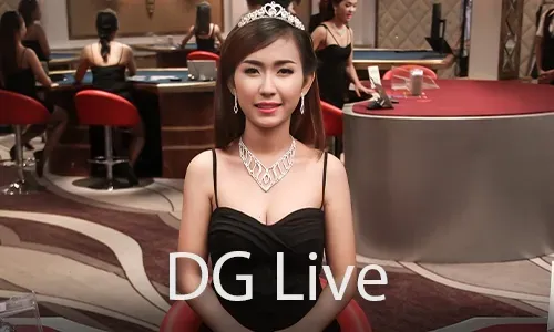 Various deposit methods available on bingoplus